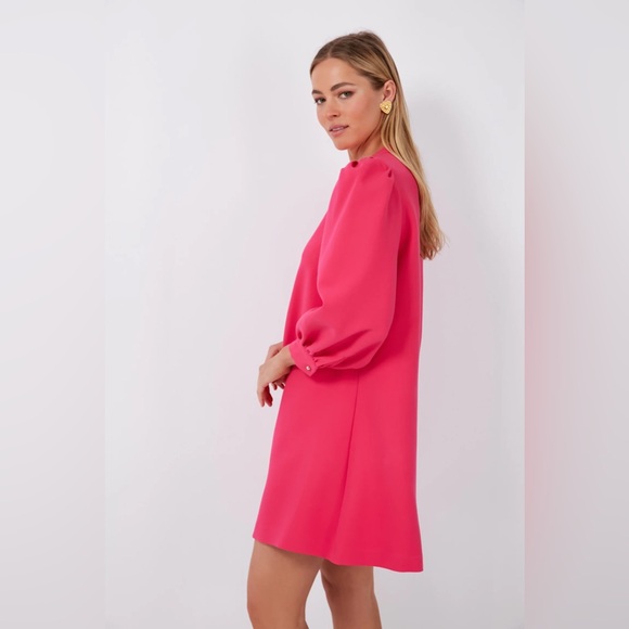 POMANDER PLACE
Cerise Pink Samantha Mini Dress - Picture 3 of 7